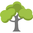 Saint Joseph Tree Trimming