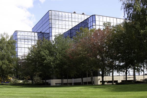 Commercial Tree Trimming in Saint Joseph