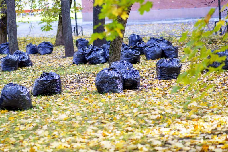 Leaf Collection in a Bag